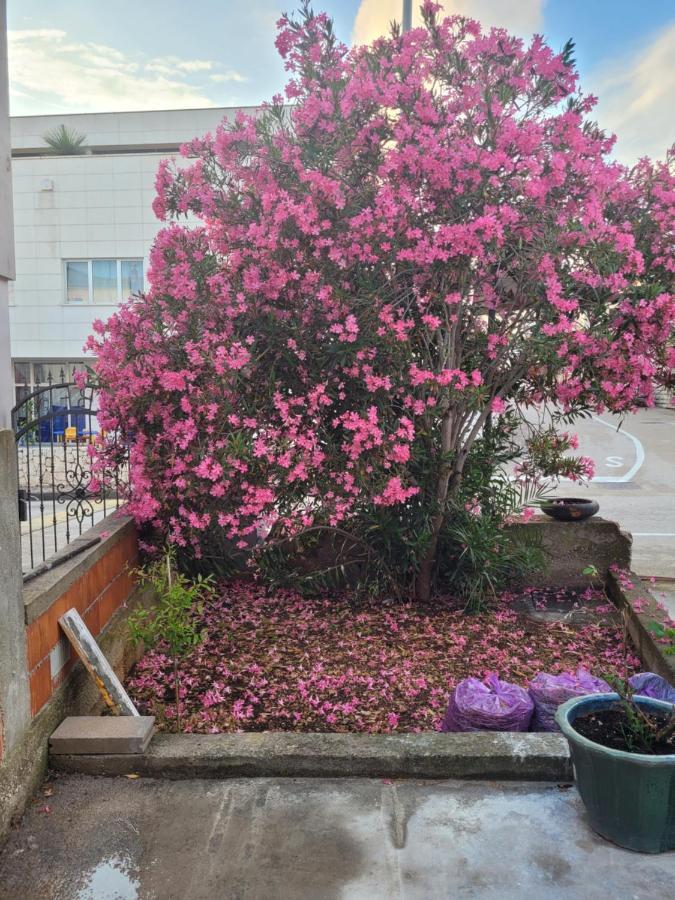 Harizma Apartment Primosten Bagian luar foto